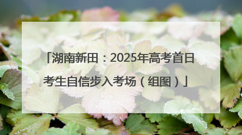 湖南新田：2025年高考首日 考生自信步入考场（组图）