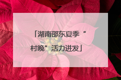 湖南邵东夏季“村晚”活力迸发