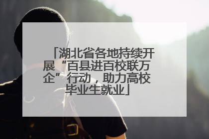 湖北省各地持续开展“百县进百校联万企”行动，助力高校毕业生就业