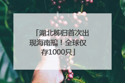 湖北秭归首次出现海南鳽！全球仅存1000只