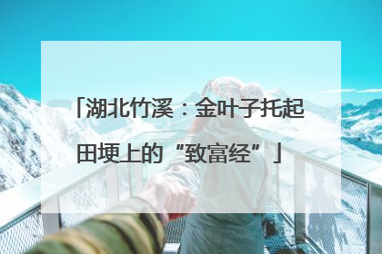 湖北竹溪：金叶子托起田埂上的“致富经”