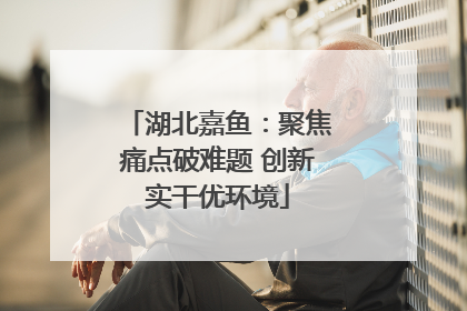湖北嘉鱼：聚焦痛点破难题 创新实干优环境
