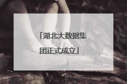 湖北大数据集团正式成立
