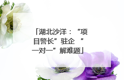 湖北沙洋：“项目警长”驻企 “一对一”解难题