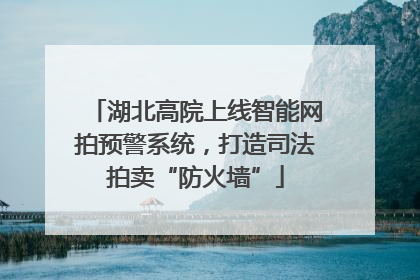 湖北高院上线智能网拍预警系统，打造司法拍卖“防火墙”