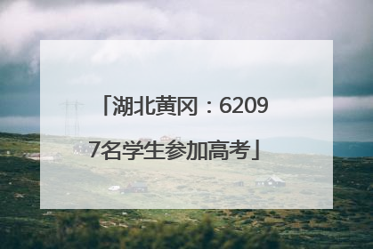 湖北黄冈：62097名学生参加高考