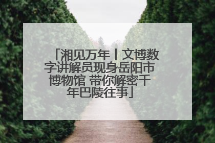 湘见万年丨文博数字讲解员现身岳阳市博物馆 带你解密千年巴陵往事