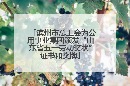 滨州市总工会为公用事业集团颁发“山东省五一劳动奖状”证书和奖牌