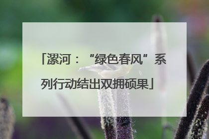 漯河：“绿色春风”系列行动结出双拥硕果
