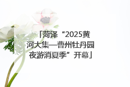 菏泽“2025黄河大集—曹州牡丹园夜游消夏季”开幕