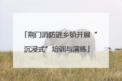 荆门消防进乡镇开展“沉浸式”培训与演练
