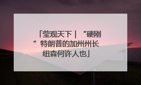 莹观天下｜“硬刚”特朗普的加州州长纽森何许人也