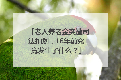 老人养老金突遭司法扣划，16年前究竟发生了什么？