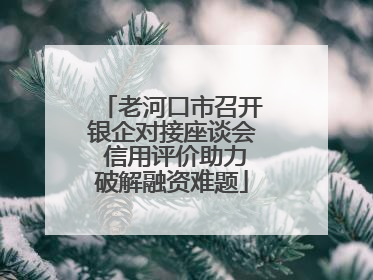 老河口市召开银企对接座谈会 信用评价助力破解融资难题