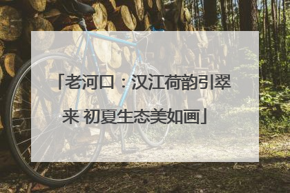 老河口：汉江荷韵引翠来 初夏生态美如画