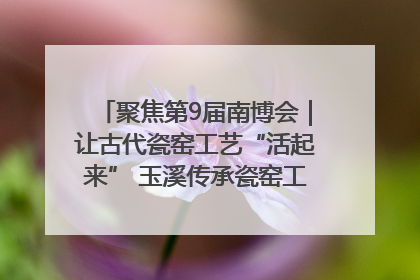 聚焦第9届南博会｜让古代瓷窑工艺“活起来” 玉溪传承瓷窑工艺将出展南博会