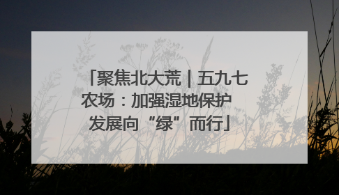 聚焦北大荒｜五九七农场：加强湿地保护 发展向“绿”而行