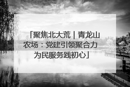 聚焦北大荒｜青龙山农场：党建引领聚合力 为民服务践初心