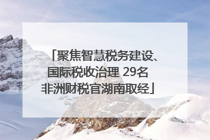 聚焦智慧税务建设、国际税收治理 29名非洲财税官湖南取经
