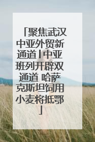 聚焦武汉中亚外贸新通道│中亚班列开辟双通道 哈萨克斯坦饲用小麦将抵鄂