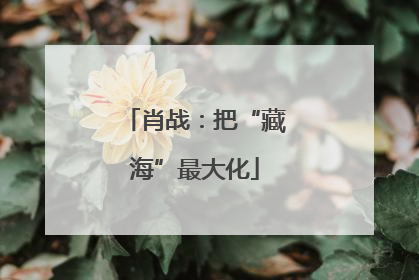 肖战：把“藏海”最大化