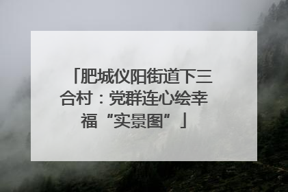 肥城仪阳街道下三合村：党群连心绘幸福“实景图”
