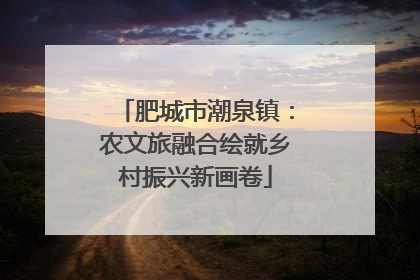 肥城市潮泉镇：农文旅融合绘就乡村振兴新画卷