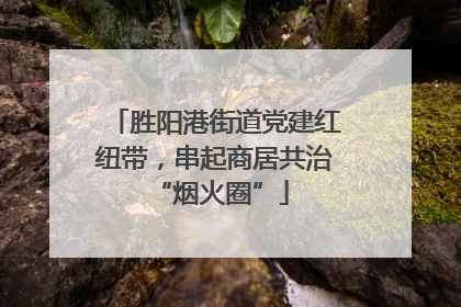 胜阳港街道党建红纽带，串起商居共治 “烟火圈”