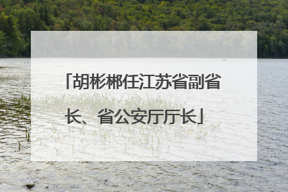 胡彬郴任江苏省副省长、省公安厅厅长