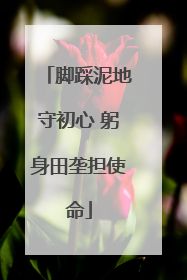 脚踩泥地守初心 躬身田垄担使命