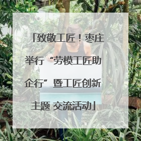 致敬工匠！枣庄举行“劳模工匠助企行”暨工匠创新主题 交流活动