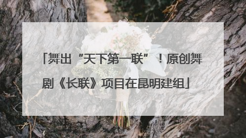 舞出“天下第一联”！原创舞剧《长联》项目在昆明建组