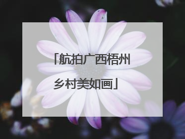 航拍广西梧州乡村美如画