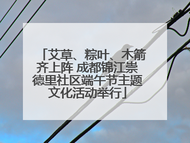 艾草、粽叶、木箭齐上阵 成都锦江崇德里社区端午节主题文化活动举行