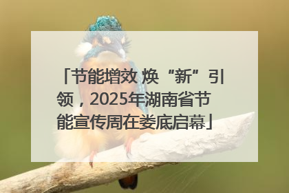 节能增效 焕“新”引领，2025年湖南省节能宣传周在娄底启幕