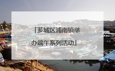 芗城区浦南镇举办端午系列活动