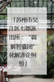 苏州市吴江区七都派出所：“调解智囊团”化解涉企纠纷