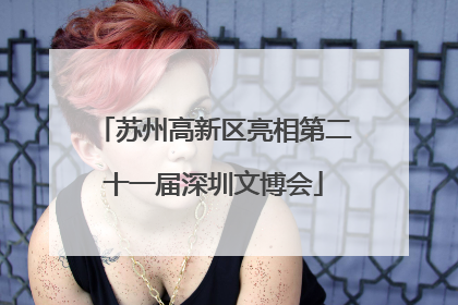 苏州高新区亮相第二十一届深圳文博会