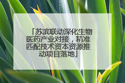 苏滨联动深化生物医药产业对接，精准匹配技术资本资源推动项目落地