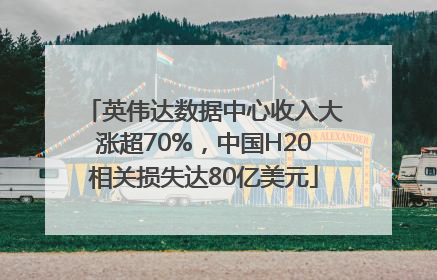 英伟达数据中心收入大涨超70%，中国H20相关损失达80亿美元