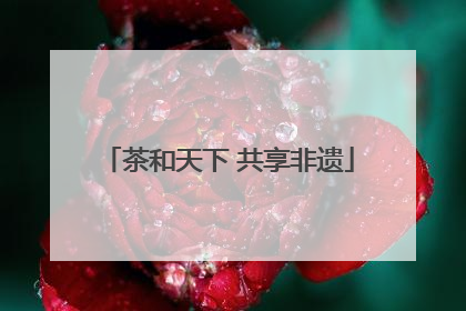 茶和天下 共享非遗