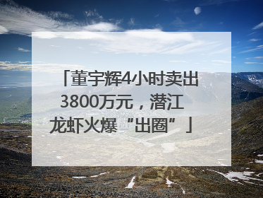 董宇辉4小时卖出3800万元，潜江龙虾火爆“出圈”