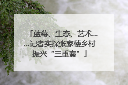 蓝莓、生态、艺术……记者实探张家楼乡村振兴“三重奏”