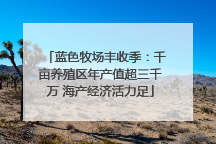 蓝色牧场丰收季：千亩养殖区年产值超三千万 海产经济活力足