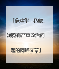 薛建华，私藏、浏览有严重政治问题的网络文章