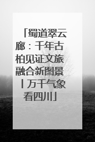 蜀道翠云廊：千年古柏见证文旅融合新图景丨万千气象看四川