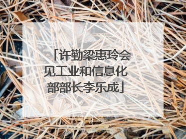 许勤梁惠玲会见工业和信息化部部长李乐成