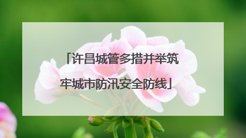 许昌城管多措并举筑牢城市防汛安全防线
