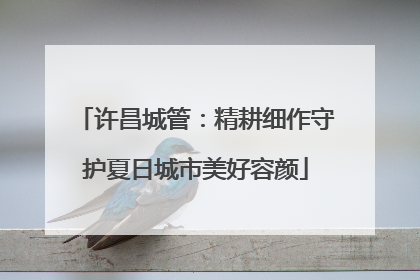 许昌城管：精耕细作守护夏日城市美好容颜