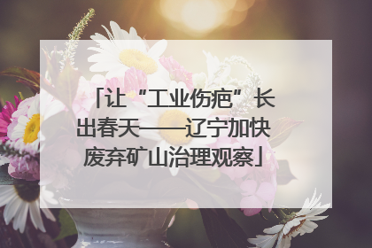 让“工业伤疤”长出春天——辽宁加快废弃矿山治理观察